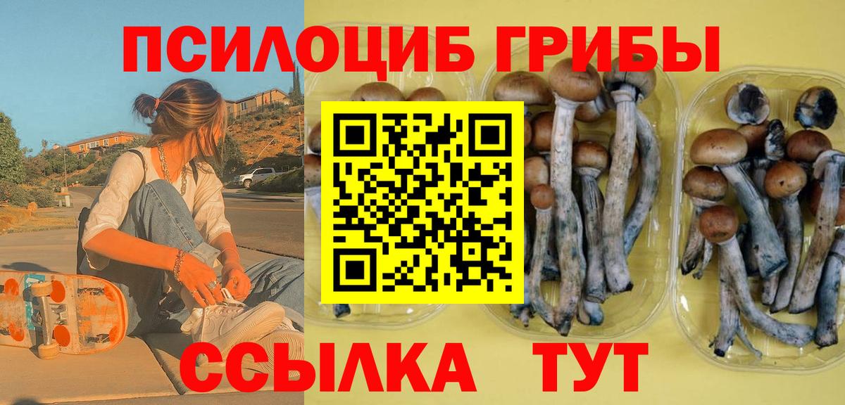 Благовещенск  Псилоцибиновые грибы мухоморы  Галлюциногенные грибы Cubensis  Вход с VPN 